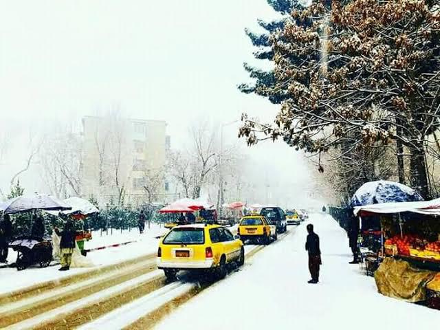 زمستان/ مهریه رحمانی(عضو محترم بنیاد جهانی سبزمنش)/ افغانستان