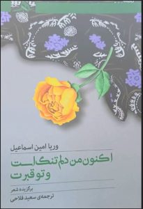 کتاب شعر«اکنون من دلم تنگ است و تو قبرت» منتشر شد