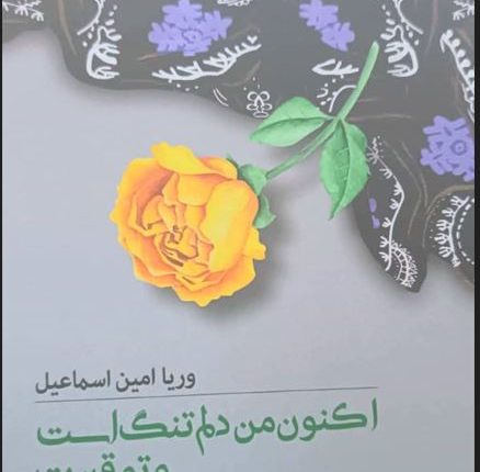 کتاب شعر«اکنون من دلم تنگ است و تو قبرت» منتشر شد